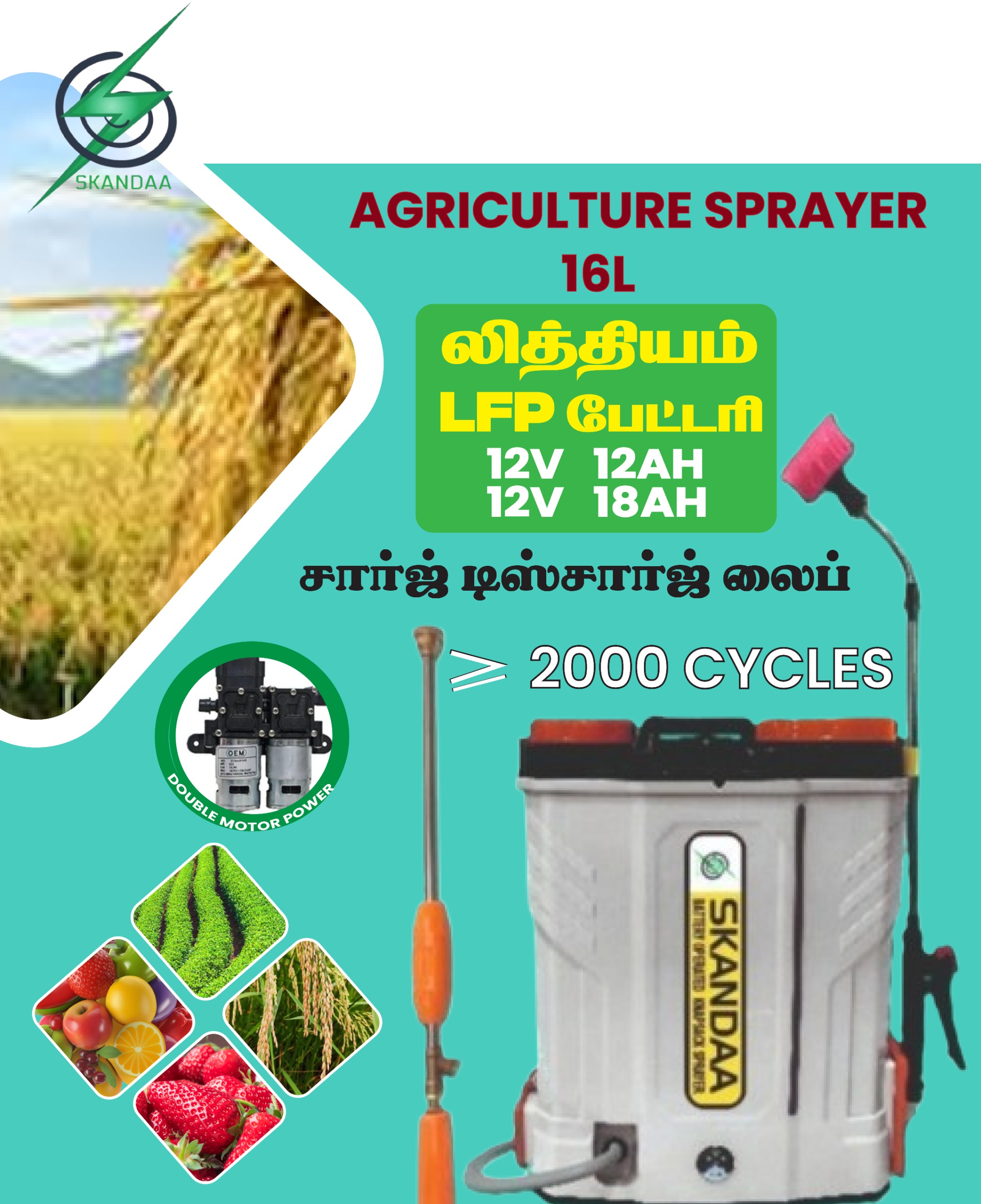 WhatsApp Image 2025-10-11 at 12.47.08 PM